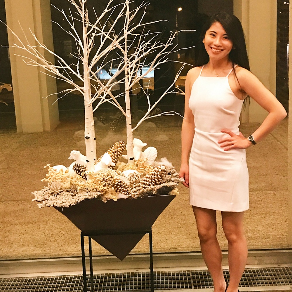 Elizabeth and James white cocktail dress. Only worn once